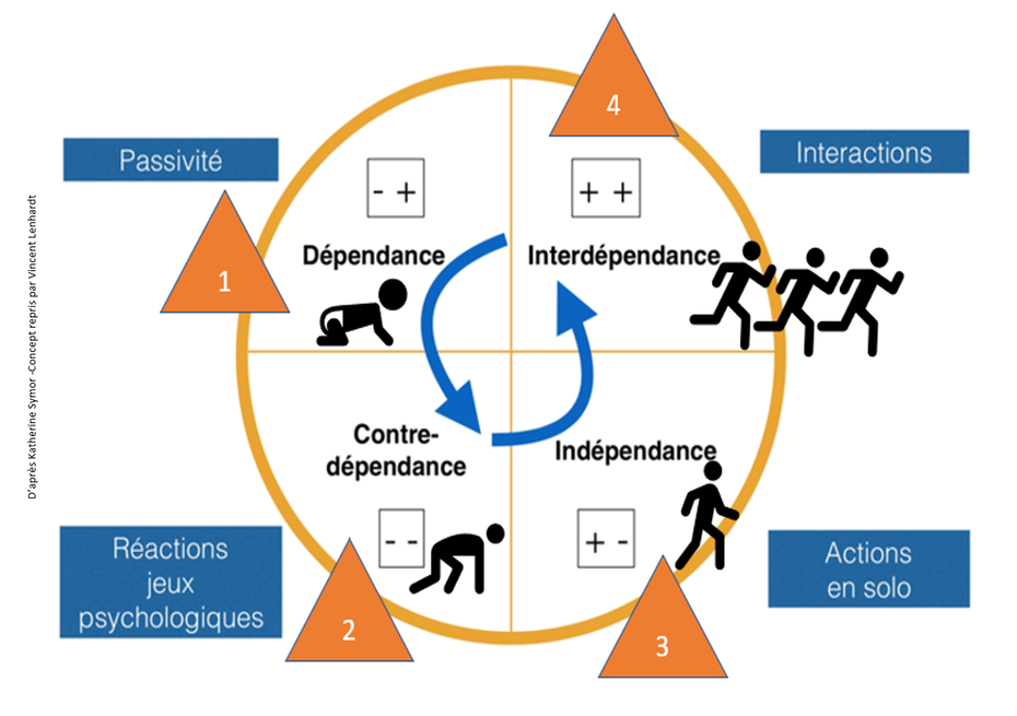 Odoo • Texte et Image