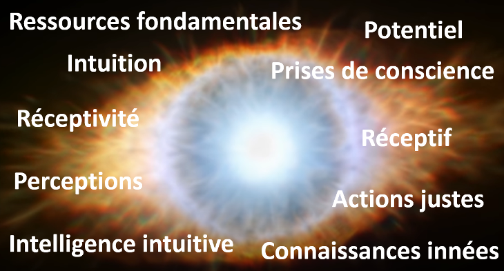 Elévation de conscience par l'intelligence intuitive de la vibration du Cœur