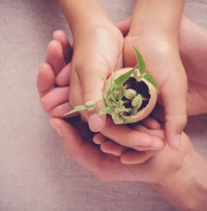Forfait réalisation - Entreprise - Améliorer votre capacité de savoir-faire acheter (copie)