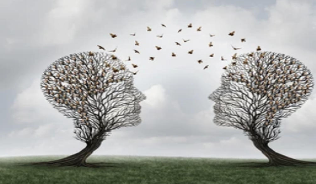 Communication non-violente & résolution de conflits