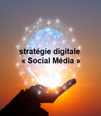 Bâtir votre stratégie digitale « Social Média »